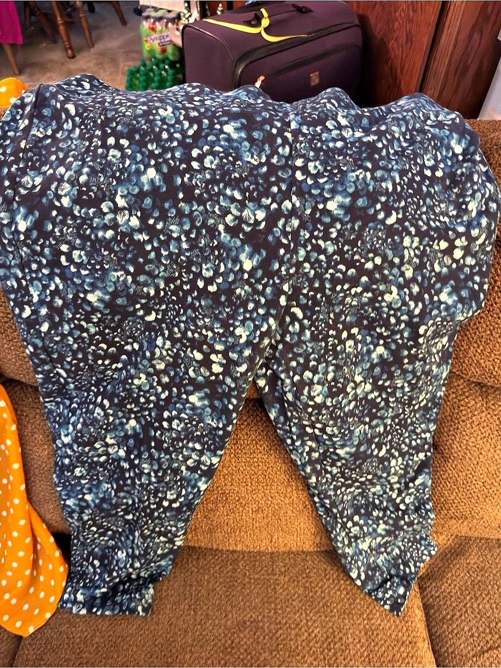 Terra & sky Printed Blue & White Leggings